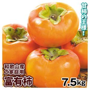 柿 5kg 貯蔵富有柿 福岡産 : 食みらい・国華園 - 通販 - Yahoo