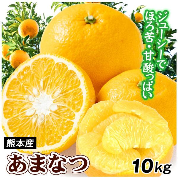 みかん 10kg 甘夏 ご家庭用 熊本産 柑橘 蜜柑 果物 フルーツ 送料無料 食品