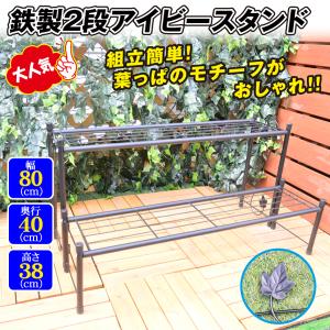 花台 フラワースタンド 鉄製 アイビースタンド 2段 1個 幅80 奥行40 高