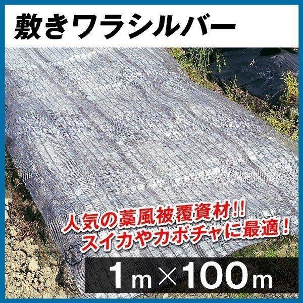 農業用マルチシート 敷きわら 敷きワラシルバー 1m×100m 1巻1組 農用 藁 ワラ風シート マ...