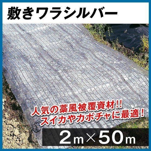 農業用マルチシート 敷きわら 敷きワラシルバー 2m×50m 1巻1組 農用 藁 ワラ風シート マル...