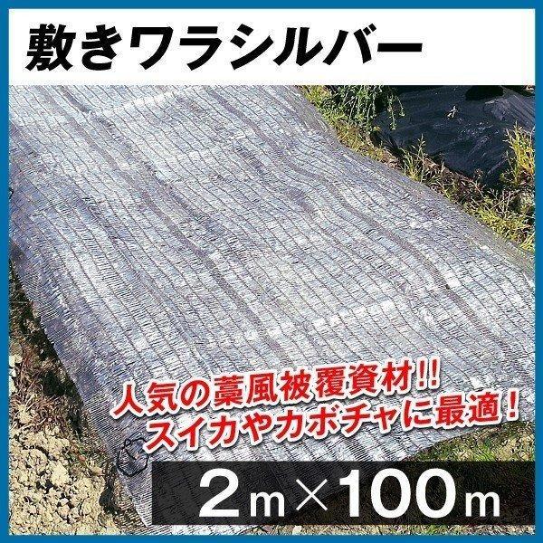 農業用マルチシート 敷きわら 敷きワラシルバー 2m×100m 1巻1組 農用 藁 ワラ風シート マ...