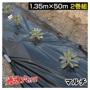 農業用マルチシート 農ポリ 通水黒マルチ 1.35×50m 2巻1組 農用 マルチ マルチング 被覆資材 ポリエチレン 排水穴 防草 通水 地温上昇 国華園