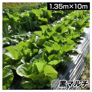 Kmaster 国華園 農業用マルチシート 農ポリ メール便対応 黒マルチ