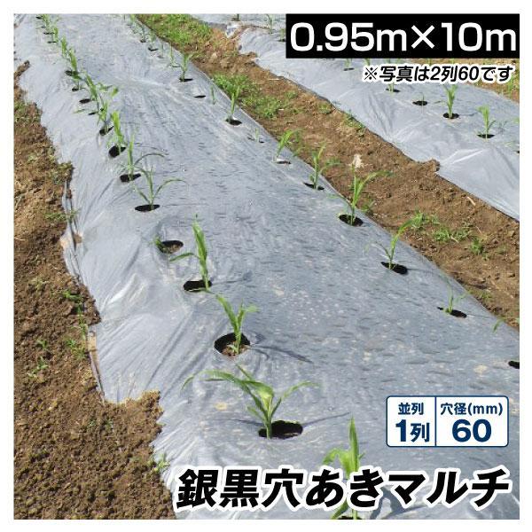 農業用マルチシート 農ポリ 銀黒穴あきマルチ 1列60 0.95×10m 1枚 少量 使い切り 農用...