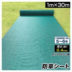 防草シート 1m×30m  農用シート 草よけ 除草 高耐久