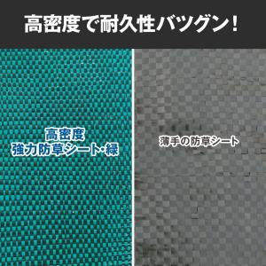 国華園 防草シート 1.5m×50m 農用シー...の詳細画像3