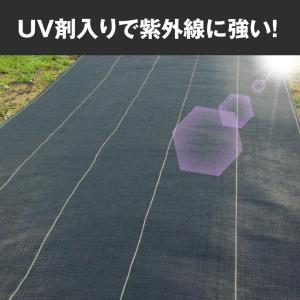 防草シート 1m×50m 農用シート 除草 雑...の詳細画像5