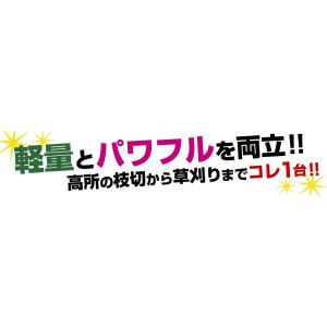 国華園 ヘッジトリマー 充電式 ポール ヘッジ...の詳細画像1