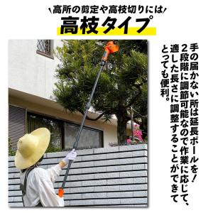 国華園 ヘッジトリマー 充電式 ポール ヘッジ...の詳細画像3