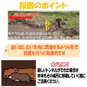 国華園 モグラ退治 モグラ撃退器 超音波 ソー...の詳細画像3