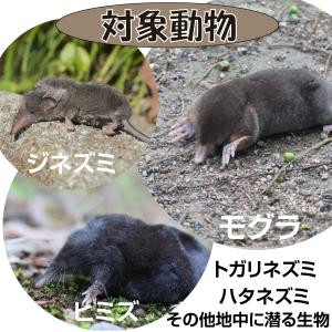 国華園 モグラ退治 モグラ撃退器 超音波 ソー...の詳細画像1