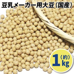 ソイリッチ公式厳選！フクユタカ 6kg 熊本県産 国産大豆 ショップ