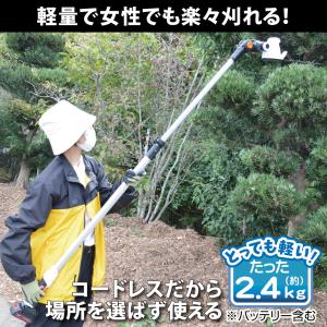 国華園 ヘッジトリマー 1台 充電式 ポール ...の詳細画像3