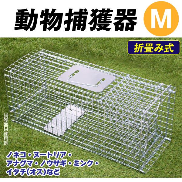 国華園 箱罠 捕獲器 猫 捕獲機 アニマルトラップ 動物捕獲器M 1個 トラップ 駆除 捕獲 踏板式...