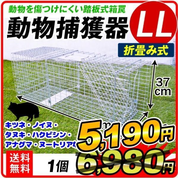 捕獲器 捕獲機 アニマルトラップ 動物捕獲器LL 1個 トラップ 駆除 捕獲 踏板式 動物 hkkk...