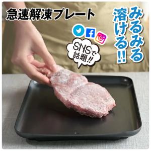 急速解凍 プレート　1個 解凍 キッチン 放熱 魚 刺身 肉 冷凍食品 エコ 時短 家事 調理器具 急速解凍プレート