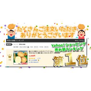 国華園 種芋 秋植えじゃがいも デジマ 2kg...の詳細画像1