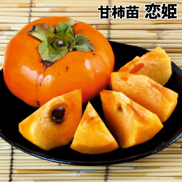 カキ 甘柿 恋姫 1株 果樹苗 国華園
