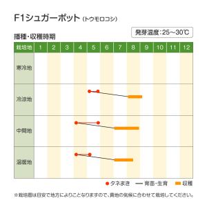 種 野菜たね トウモロコシ F1シュガーポット...の詳細画像1