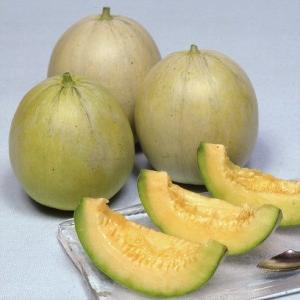 種 野菜たね メロン F1うまメロン 1袋（2ml） やさいの種 国華園