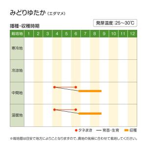 種 野菜たね エダマメ みどりゆたか 1袋(3...の詳細画像1