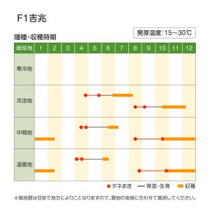 種 野菜たね ダイコン F1吉兆 1袋(3ml...の詳細画像2