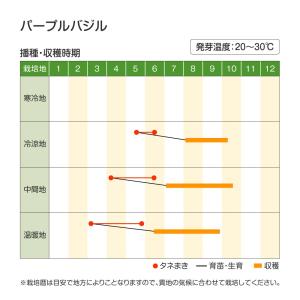 種 野菜たね ハーブ パープルバジル 1袋(2...の詳細画像1