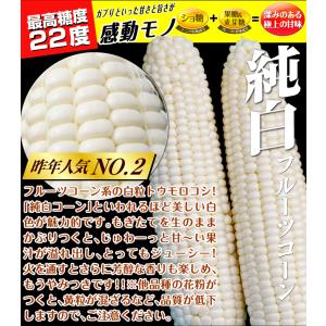 種 野菜たね トウモロコシ F1ホワイトフェス...の詳細画像2