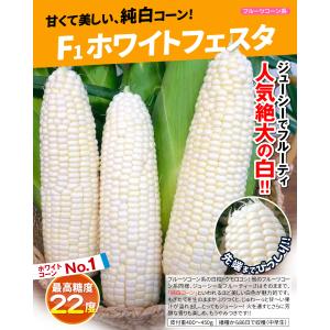 種 野菜たね トウモロコシ F1ホワイトフェス...の詳細画像1