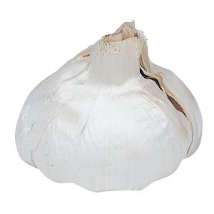 国華園 ニンニク 種球 無臭ニンニク 1kg /...の商品画像