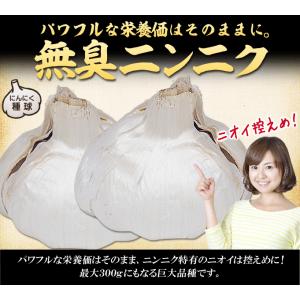 国華園 ニンニク 種球 無臭ニンニク 1kg ...の詳細画像1