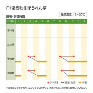 国華園 種 野菜たね ホウレン草 F1優秀秋冬...の詳細画像3