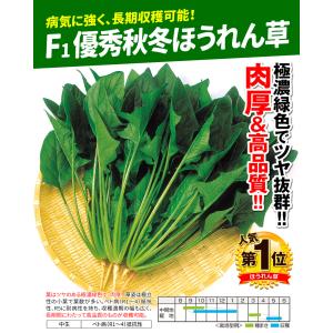 国華園 種 野菜たね ホウレン草 F1優秀秋冬...の詳細画像2
