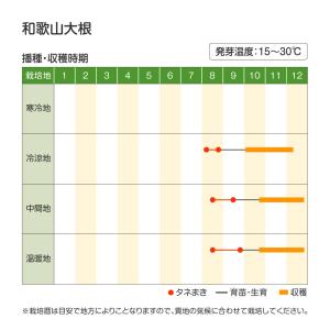国華園 種 野菜たね ダイコン 和歌山大根 1...の詳細画像2