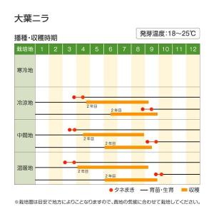 国華園 種 野菜たね ニラ 大葉にら 1袋(3...の詳細画像1