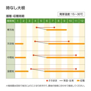 国華園 種 野菜たね ダイコン 時なし大根 1...の詳細画像2