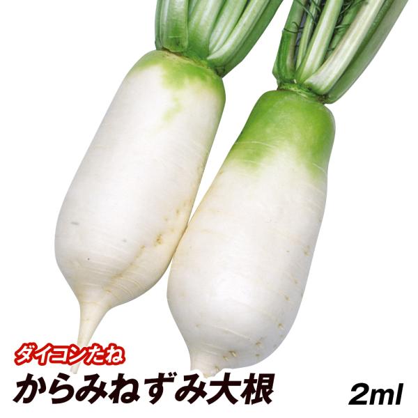 種 野菜たね ダイコン からみねずみ大根 1袋（2ml） 大根 野菜の種 国華園