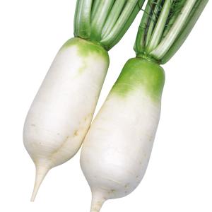 国華園 種 野菜たね ダイコン からみねずみ大...の詳細画像1