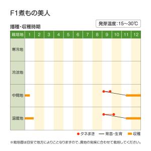 国華園 種 野菜たね ダイコン F1煮もの美人...の詳細画像2