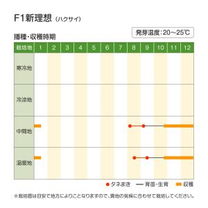 国華園 種 野菜たね ハクサイ F1新理想 1...の詳細画像2