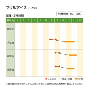 国華園 種 野菜たね レタス フリルアイス 1...の詳細画像1