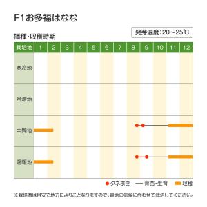 国華園 種 野菜たね 菜類 F1お多福はなな ...の詳細画像1