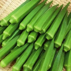 おいしい オクラ 種 種 種子 の商品一覧 花 ガーデニング 通販 Yahoo ショッピング