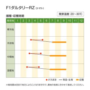 種 野菜たね ミニトマト F1ダルタリーRZ ...の詳細画像3