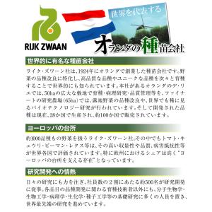 種 野菜たね ミニトマト F1ダルタリーRZ ...の詳細画像2