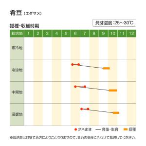 種 野菜たね エダマメ 肴豆(さかなまめ) 1...の詳細画像1