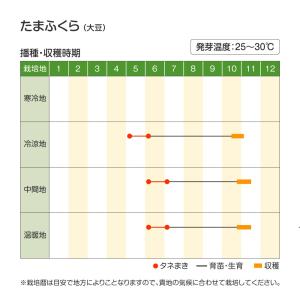 種 野菜たね 大豆 たまふくら 1袋(30ml...の詳細画像1