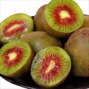 キウイ 苗 キウイの木 キウイフルーツ：ロッキー（オス木） ：果樹苗