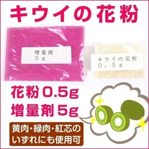 キウイの花粉 0.5g 増量剤 5g 送料無料 / 受粉 人工授粉 キューイ 花粉 果樹苗 資材｜kokkaen